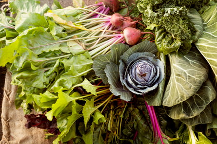 fresh-vegetables-on-farm-2022-03-09-02-21-18-utc