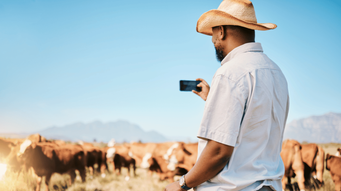 9 Steps to Boost Online Farm Sales