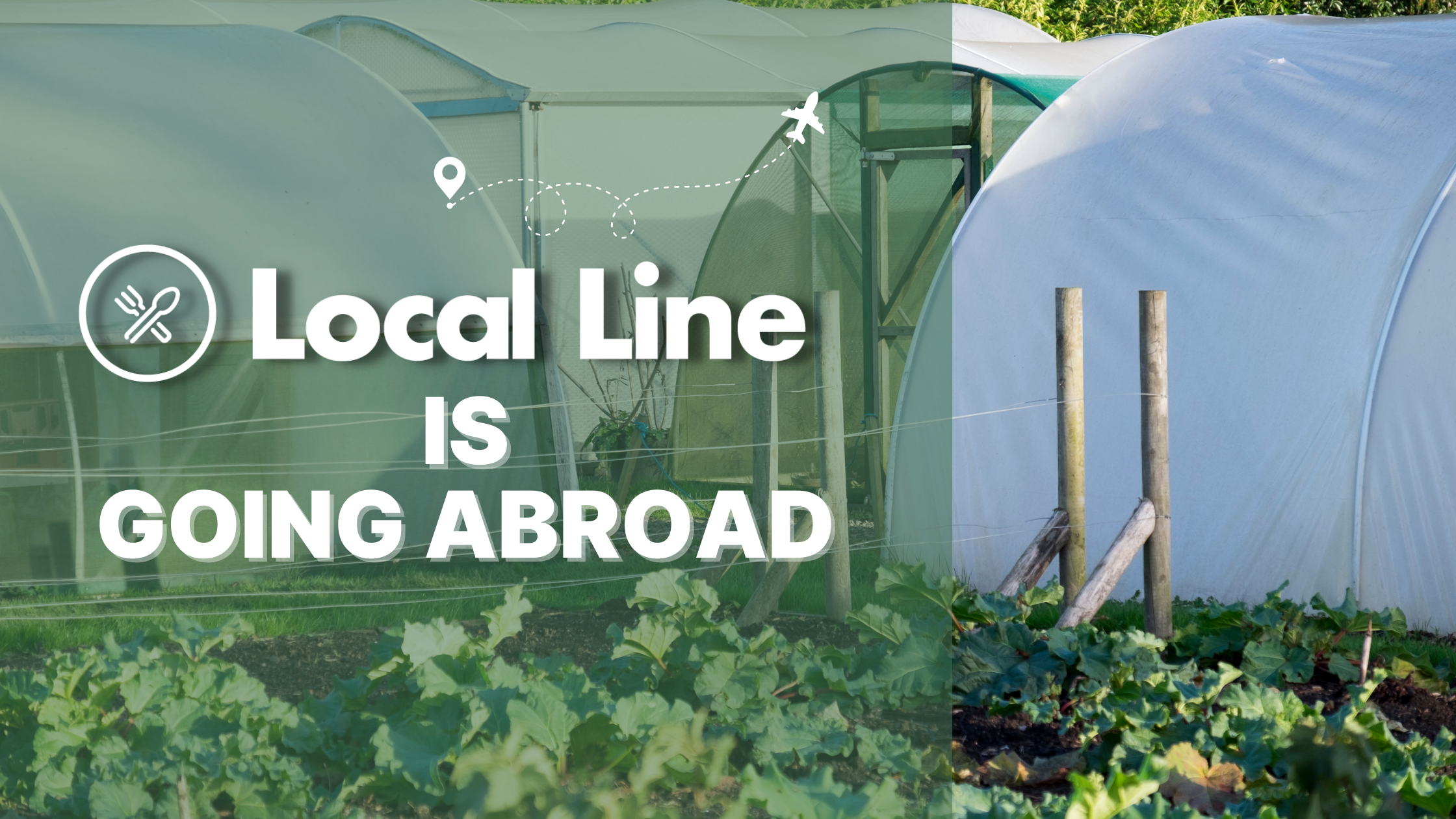 Local Line Launches Internationally