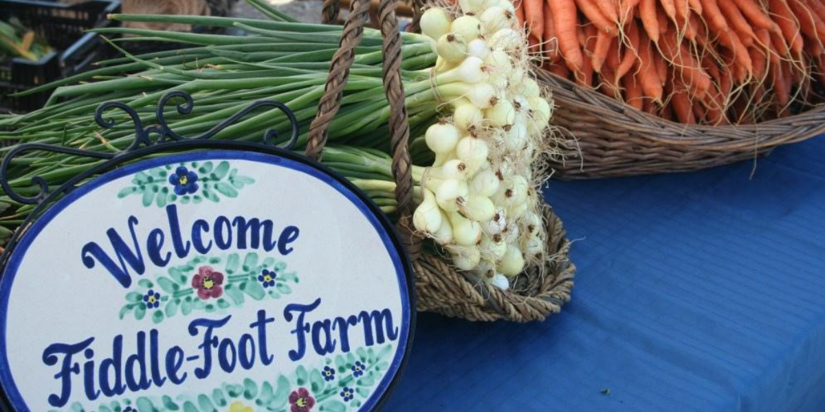 Fiddle Foot Farm Local Line Success Story